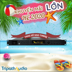 Vang số Siso T1980Q chính hãng NEW 2019