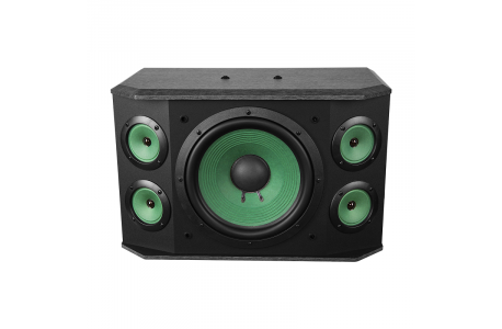 Loa Karaoke Paramax P-1000 chính hãng giá rẻ, công suất 300W, loa bass 25cm