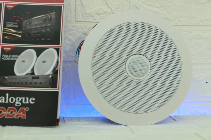 LOA ÂM TRẦN LÀ GÌ? NÊM LẮP LOA ÂM TRẦN Ở ĐÂU