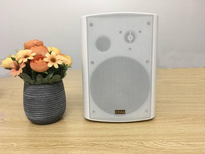 TÌM HIỂU VỀ LOA TREO TƯỜNG PHÒNG HỌP